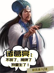 诸葛亮重生,一切尽在掌握! 诸葛亮重生,一切尽在掌握!