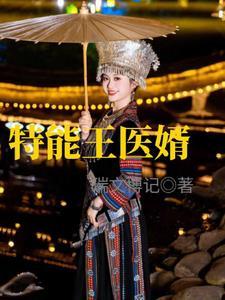 特能王医婿 特能王医婿