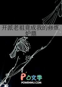 开派老祖竟成我的修炼炉鼎
